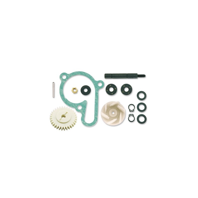Kit di riparazione della pompa dell'acqua Vicma 11420 Saldi