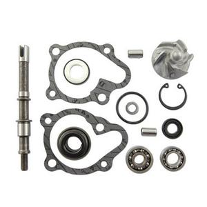 Kit di riparazione della pompa dell'acqua Vicma 11625