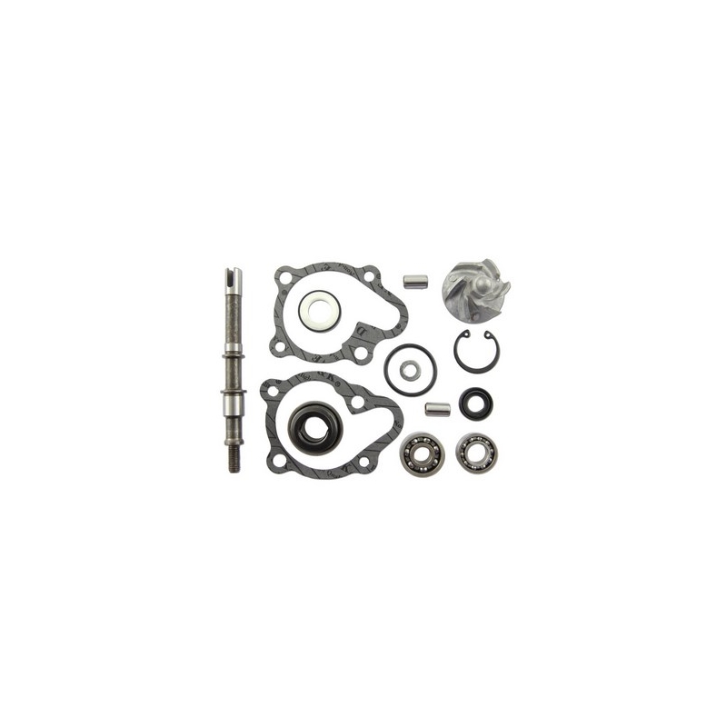 Kit di riparazione per pompa dell'acqua Vicma 11625