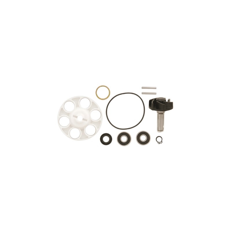Kit di riparazione per pompa dell'acqua Vicma 6215