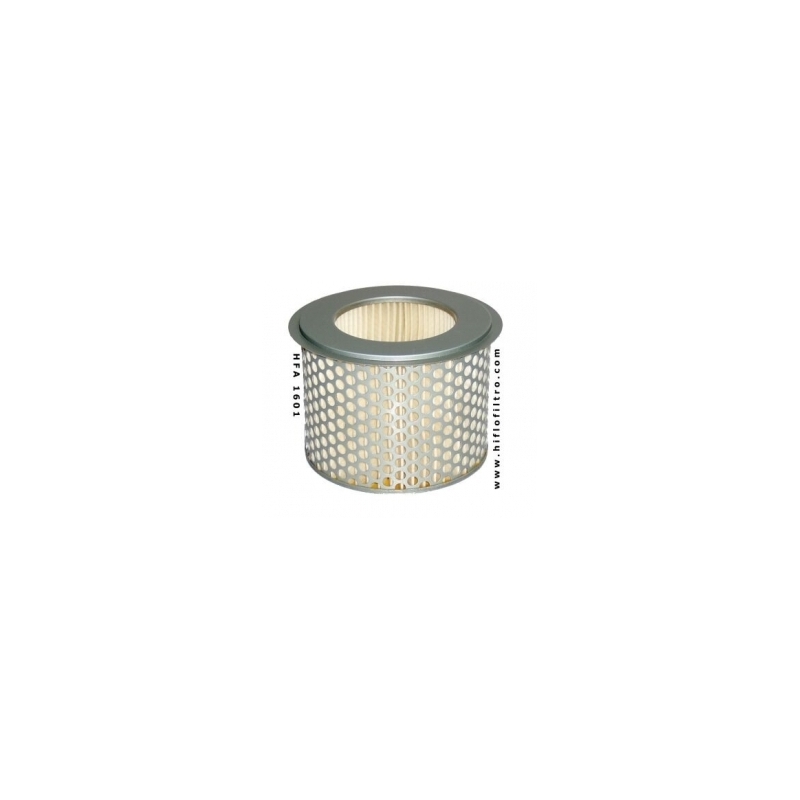 Filtro aria Hiflofiltro HFA1601