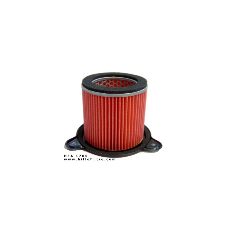 Filtro aria Hiflofiltro HFA1705