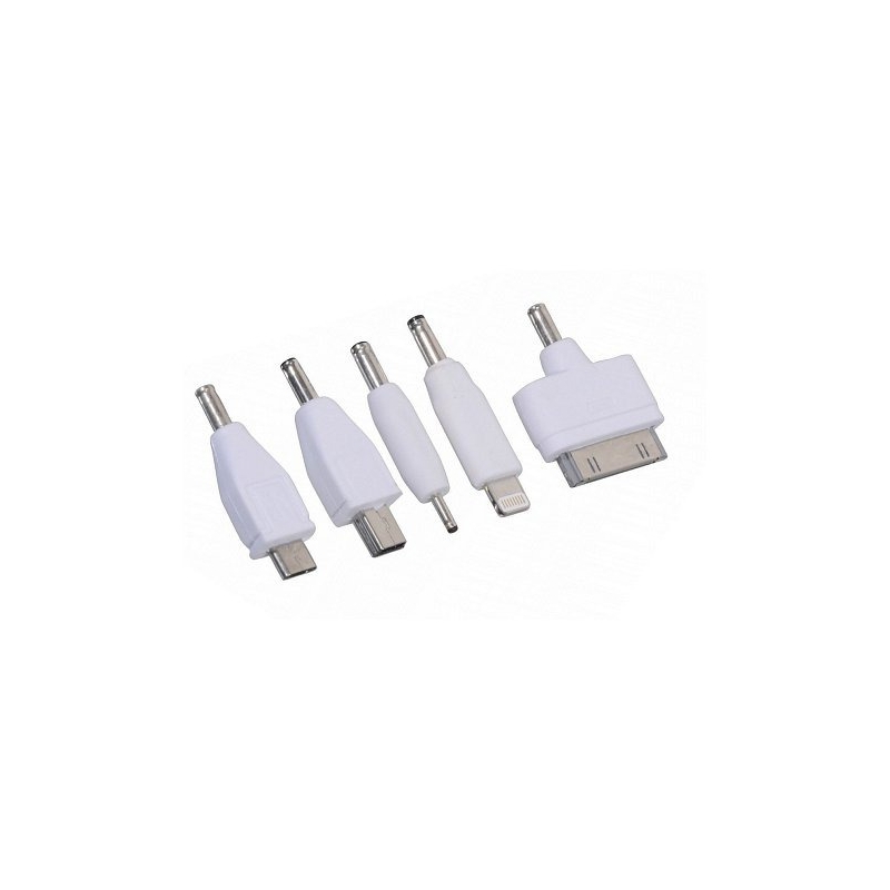 Caricabatterie per telefono 12V 2,1A (iPhone 4/5/6, micro USB, Nokia)