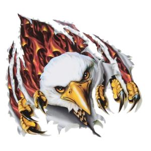 Aquila adesiva