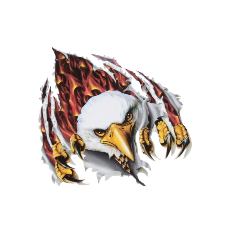 Aquila adesiva