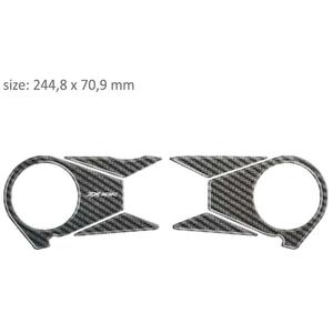 Stampa occhiali in carbonio - Kawasaki ZX 10R (06-10) Saldi