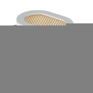 Filtro aria Hiflofiltro HFA1702