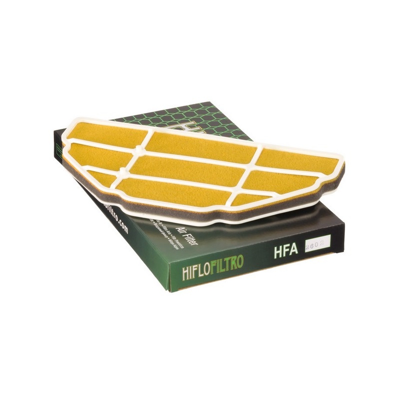 Filtro aria Hiflofiltro HFA2602