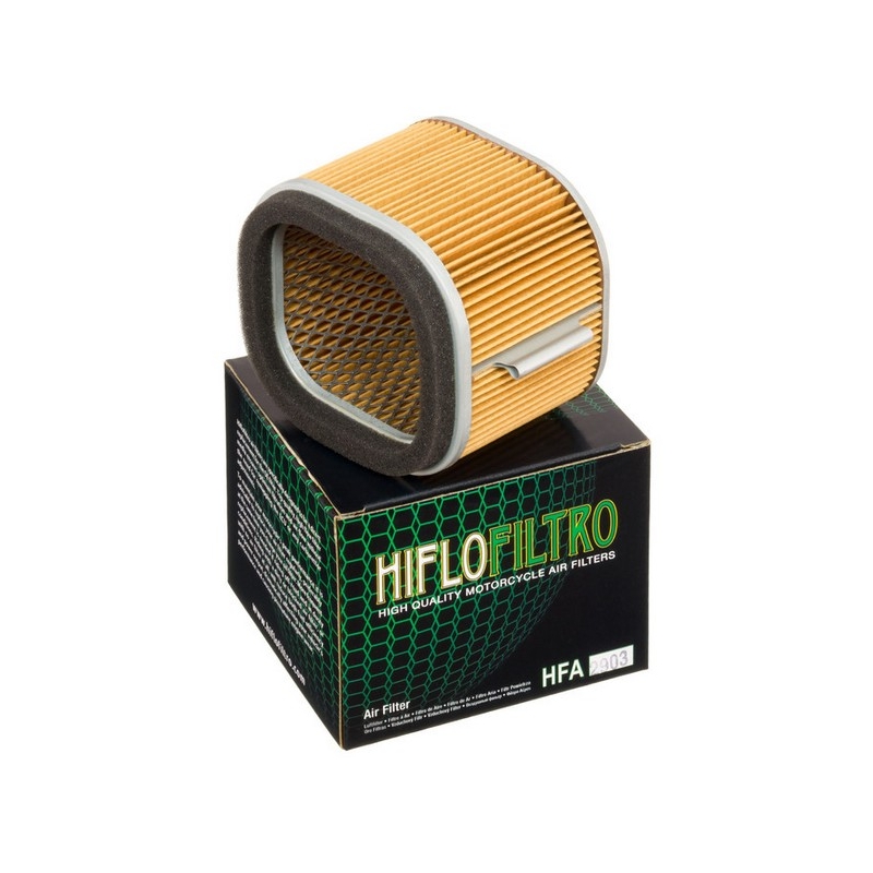 Filtro aria Hiflofiltro HFA2903