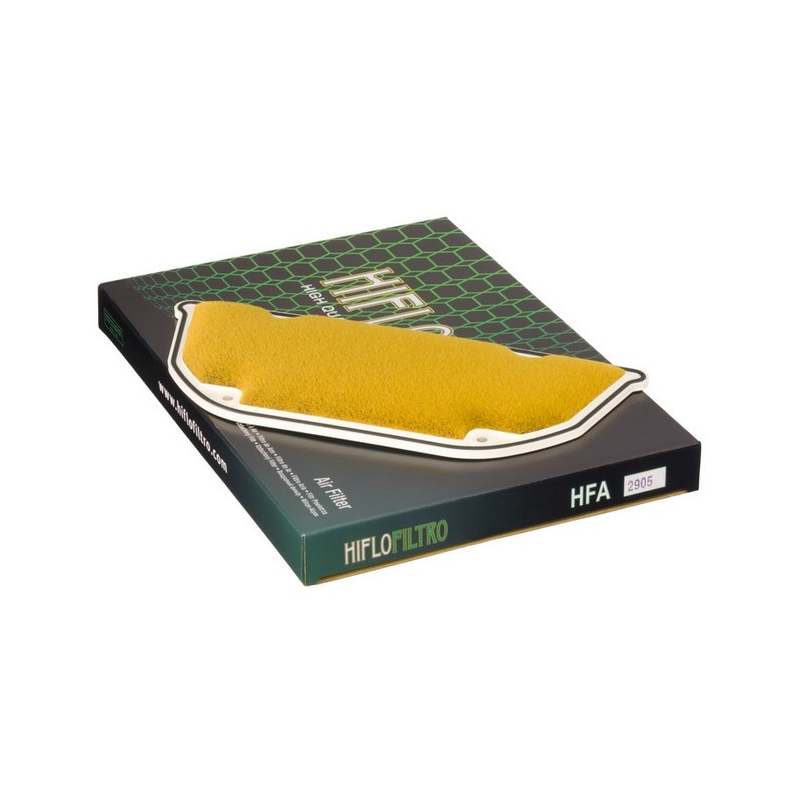 Filtro aria Hiflofiltro HFA2905