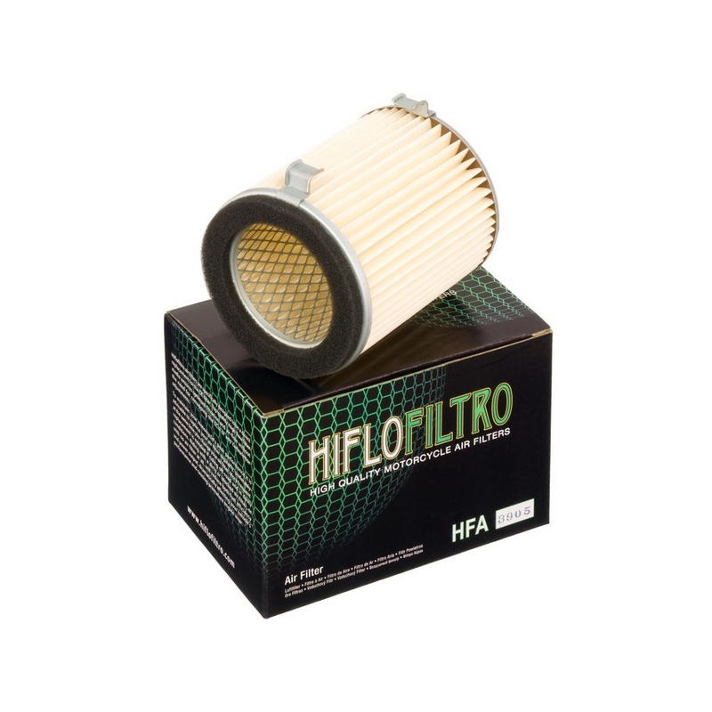 Filtro aria Hiflofiltro HFA3905
