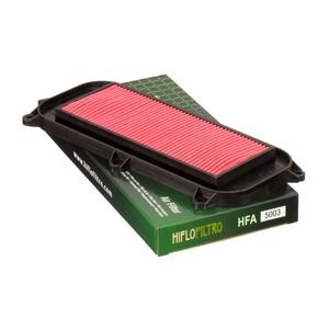 Filtro aria Hiflofiltro HFA5003