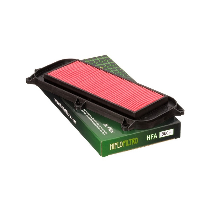 Filtro aria Hiflofiltro HFA5003