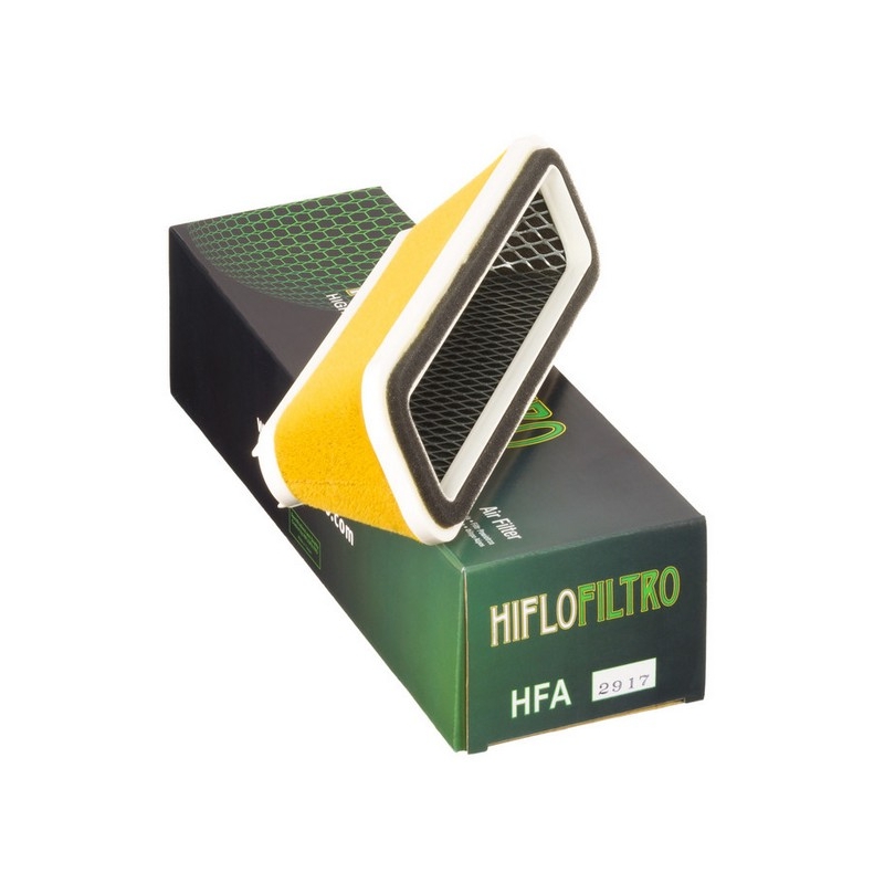 Filtro aria Hiflofiltro HFA2917