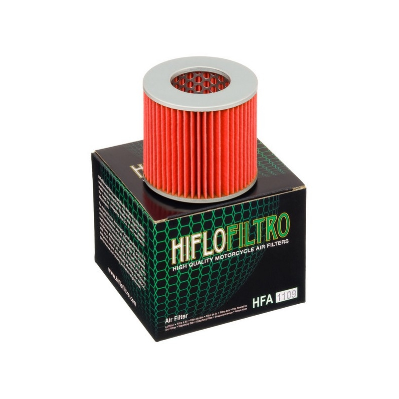 Filtro aria Hiflofiltro HFA1109