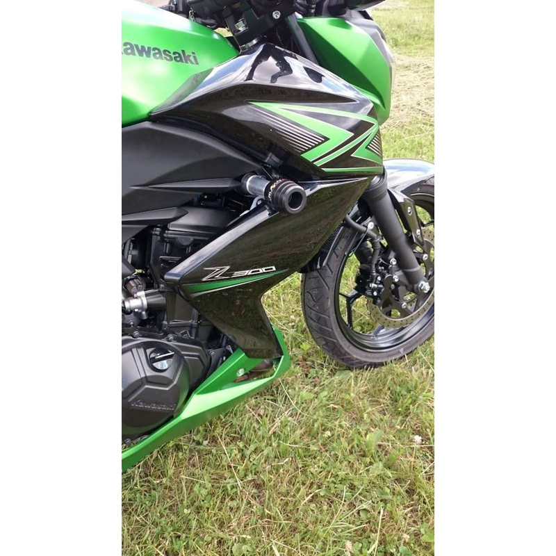 Kawasaki ZX-300R Freccia