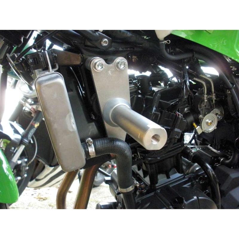 Kawasaki ZX-300R Freccia