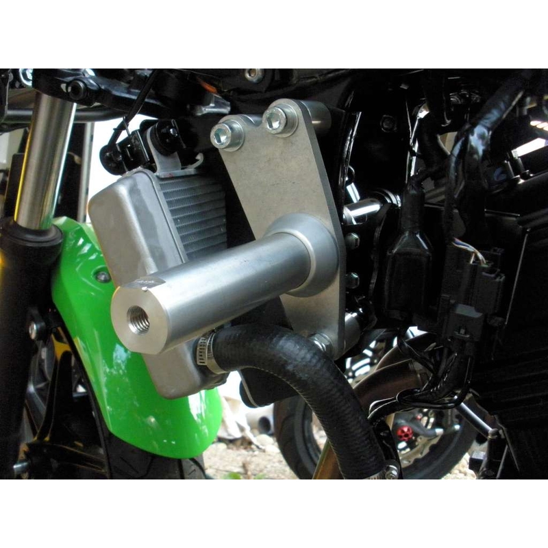 Kawasaki ZX-300R Freccia
