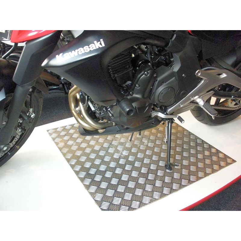 Kawasaki ER-6N (13) Gatling