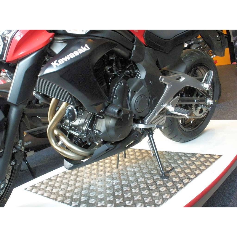 Kawasaki ER-6N (13) Gatling