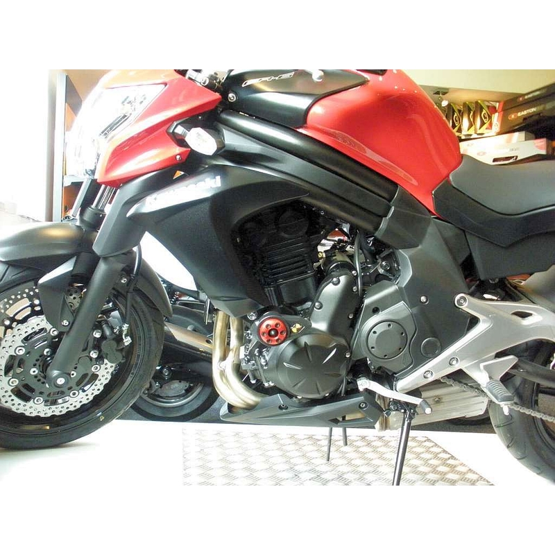 Kawasaki ER-6N (13) Gatling