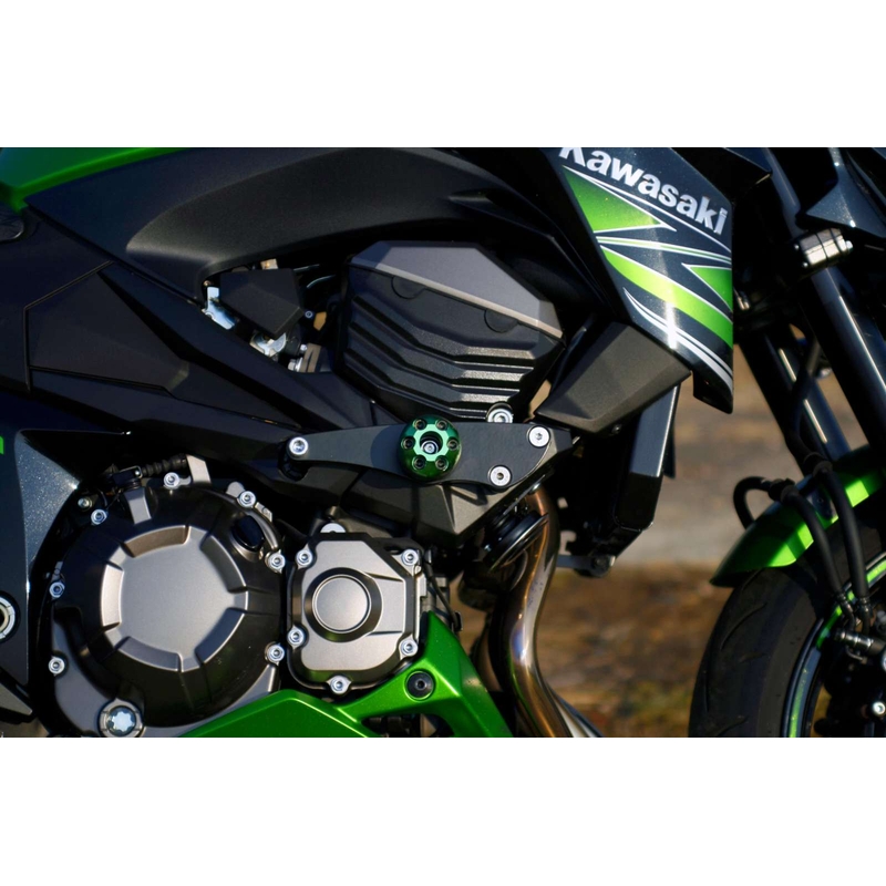 Kawasaki Z-800 (13) Classic