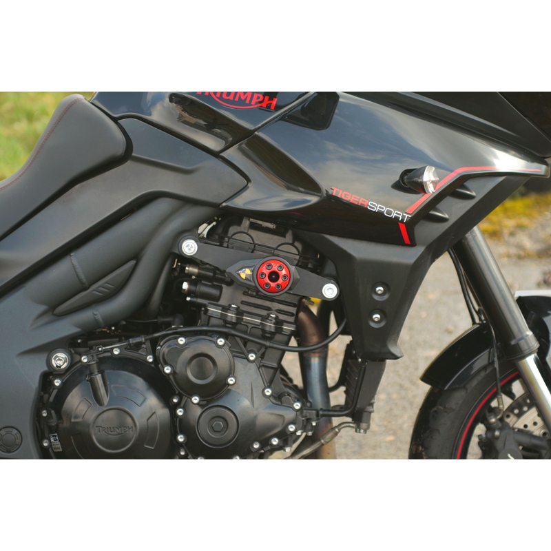Triumph TIGER SPORT 1050 (13) Classic