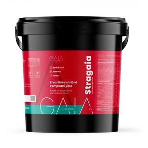 Alimento istantaneo GAIA Stragaia 4 kg fragola