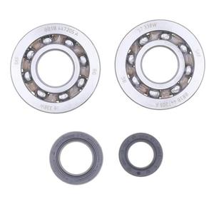 Crankshaft Rebuilding Kit ATHENA (bearing and oil seal kit)