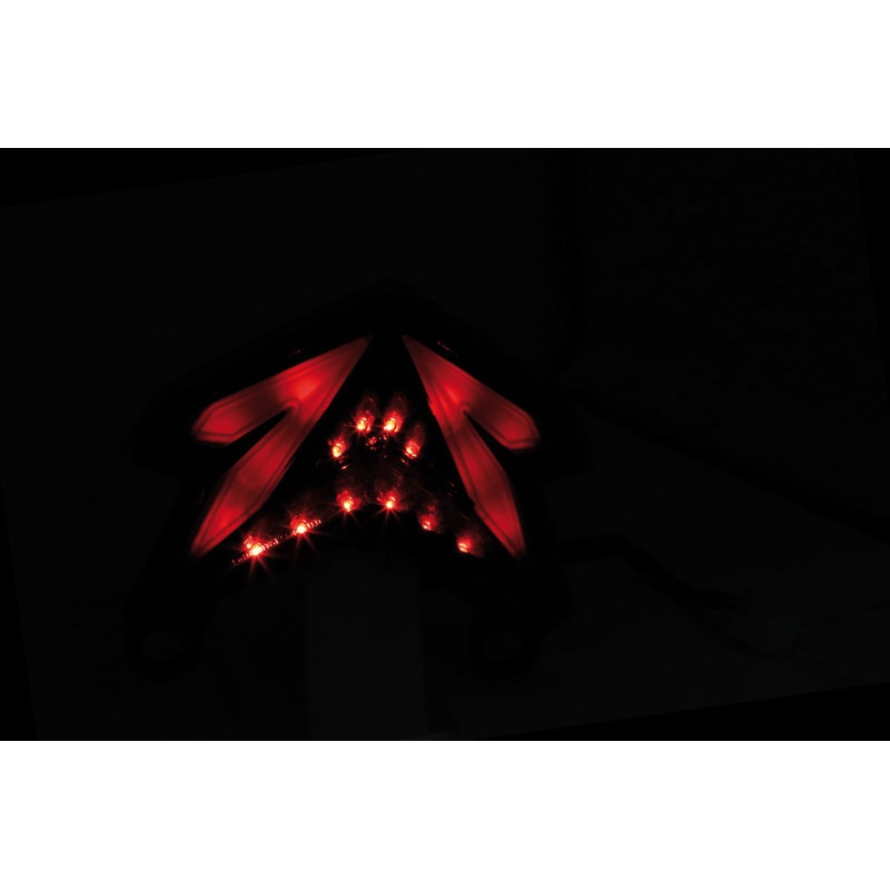 Fanale posteriore a LED intelligente Highsider per moto Kawasaki Ninja Zx-6 R, Z 800