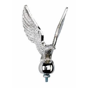 Decorazione Aquila
