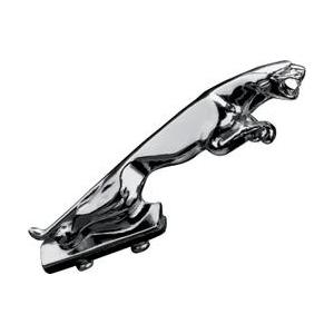 Decorazione Fender Panther