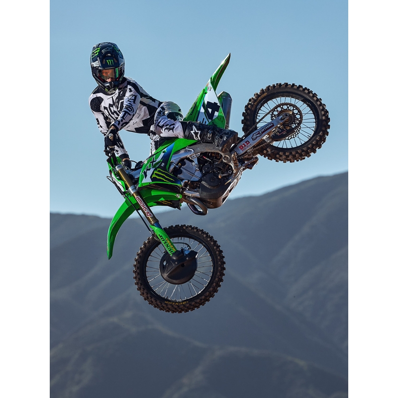 Maglia da motocross Alpinestars Techstar edizione limitata Wolf Dust sabbia-nero